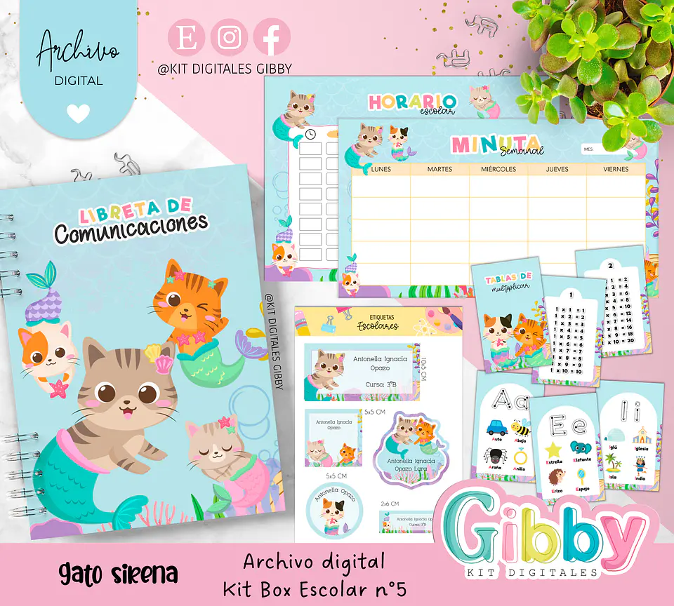 Archivo digital - Kit Box Escolares N°5 17