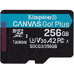Kingston Canvas Go! Plus - Tarjeta de memoria flash - 256 GB - A2 / Video Class V30 / UHS-I U3 / Class10 - microSDXC UHS-I
