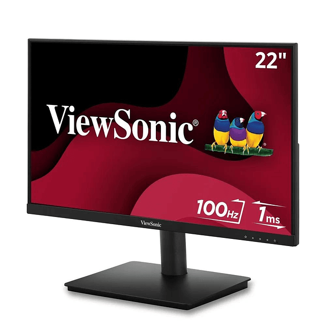 Monitor 22" / LED / FHD/ HDMI / VGA/ 100Hz / VA220-H