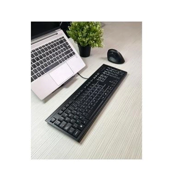 Kensington Keyboards & Keypads - Teclado alambrico KB100 EQ