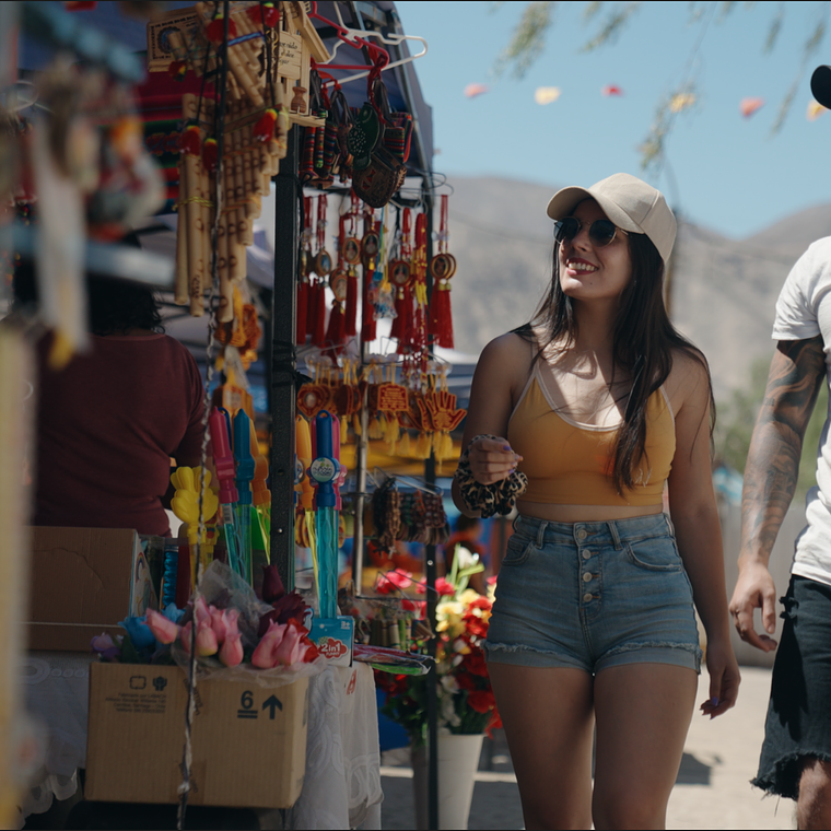 Arriendo de cabaña pueblo de Tarapacá 4