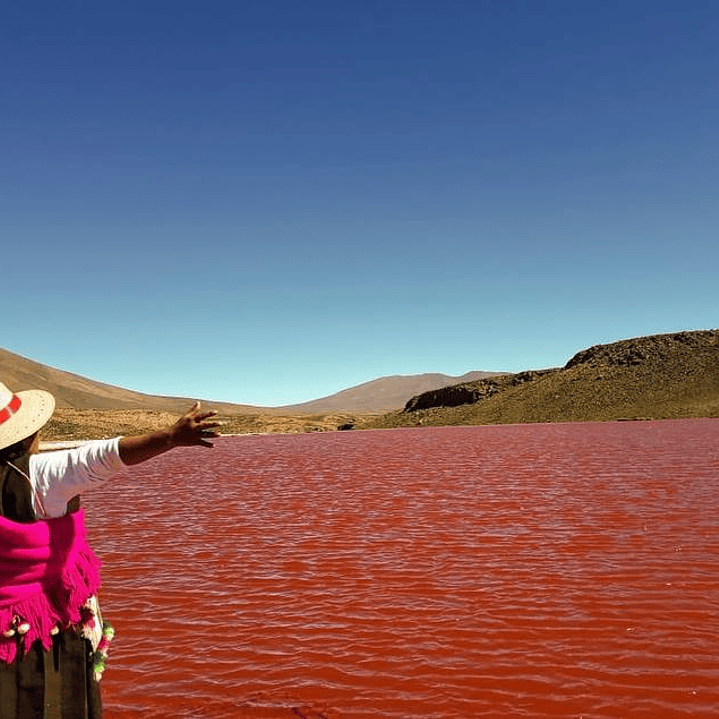 Tour Laguna Roja desde Iquique: Mística y Oculta (Full Day) 7