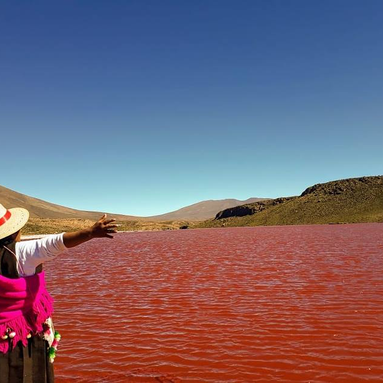 Tour Laguna Roja desde Iquique: Mística y Oculta (Full Day) 7