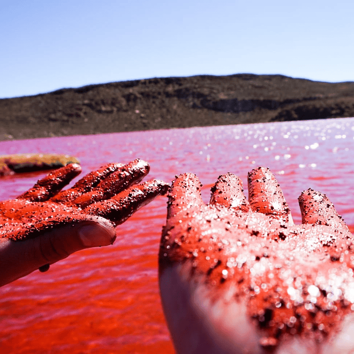 Tour Laguna Roja desde Iquique: Mística y Oculta (Full Day) 4