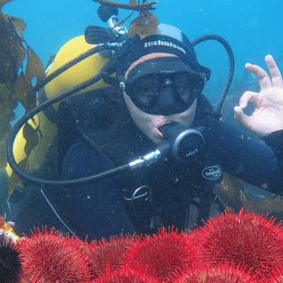 Tour de Buceo en las playas de Iquique