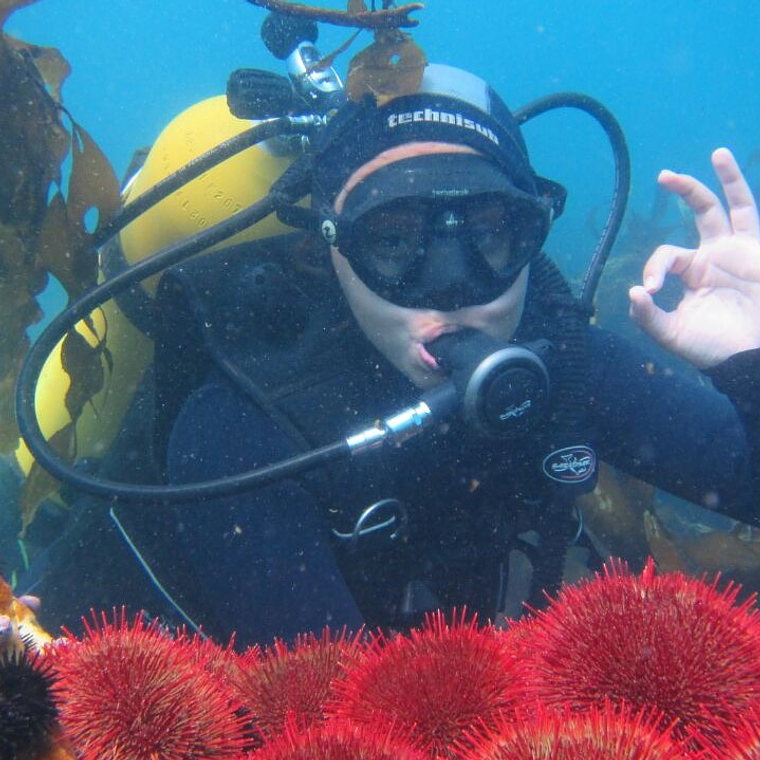 Tour de Buceo en las playas de Iquique 1