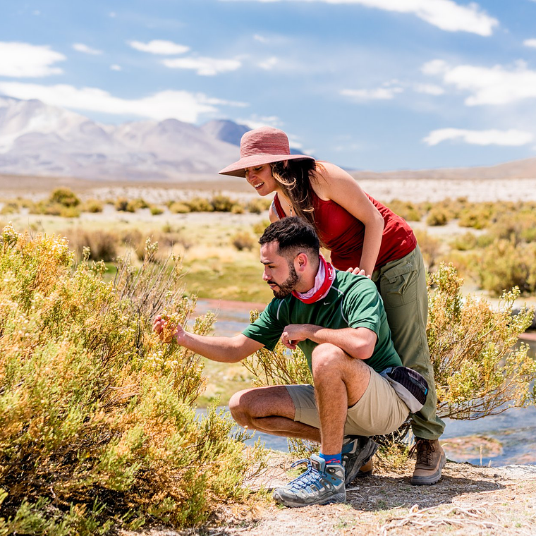 Iquique Imperdible! 3 Días y 2 Noches 2