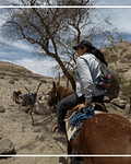 Cabalgatas en Huasquiña