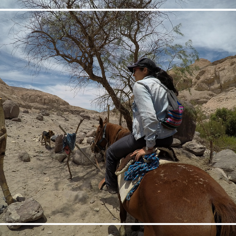 Cabalgatas en Huasquiña 2