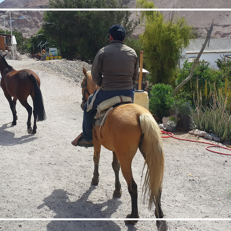 Cabalgatas en Huasquiña 3