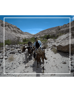 Cabalgatas en Huasquiña