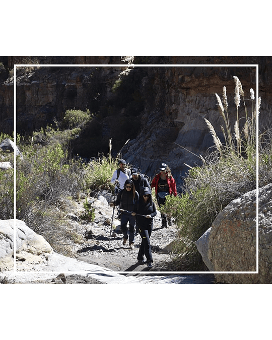 Tour Trekking Terapéutico Chusmiza