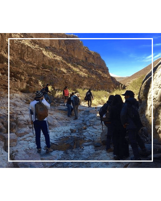 Tour Trekking Terapéutico Chusmiza