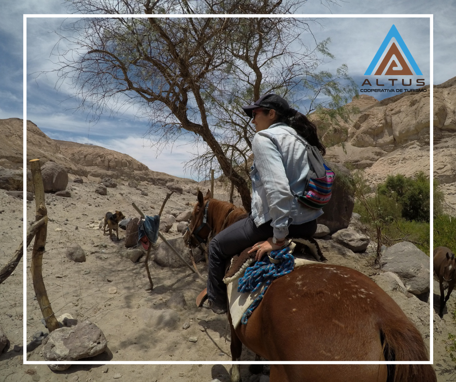 Rutas a caballo ¿conoces el turismo ecuestre de Tarapacá?