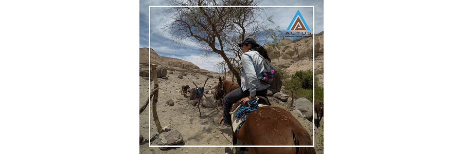 Rutas a caballo ¿conoces el turismo ecuestre de Tarapacá?