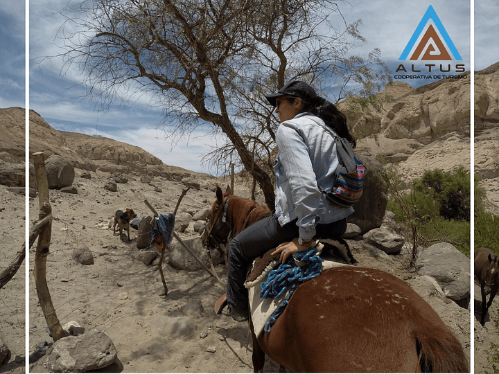 Rutas a caballo ¿conoces el turismo ecuestre de Tarapacá?