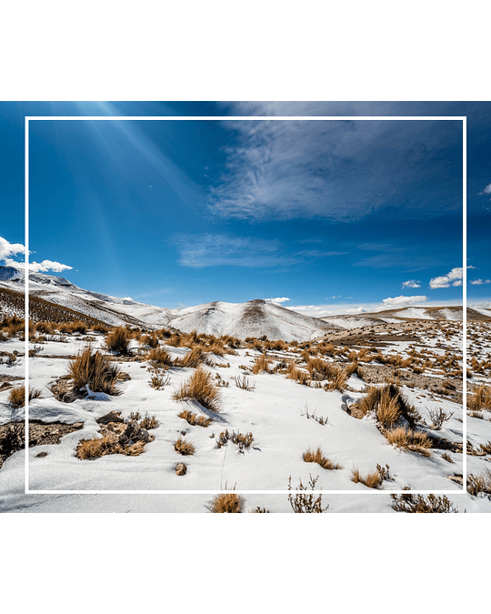 Tour Invernal Altiplano