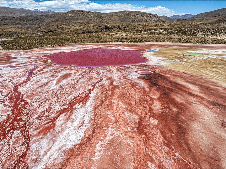 ¿Por qué la Laguna Roja es roja?