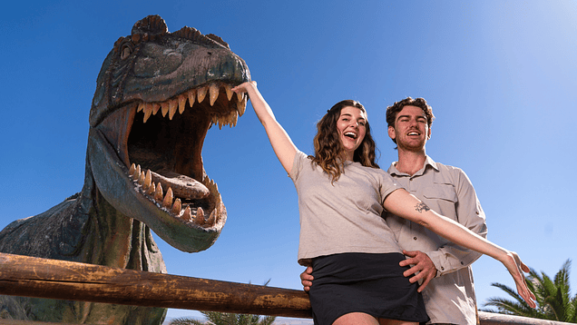 tours Salitreras y Pica - Preguntas Frecuentes