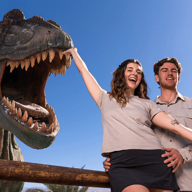 tours Salitreras y Pica - Preguntas Frecuentes