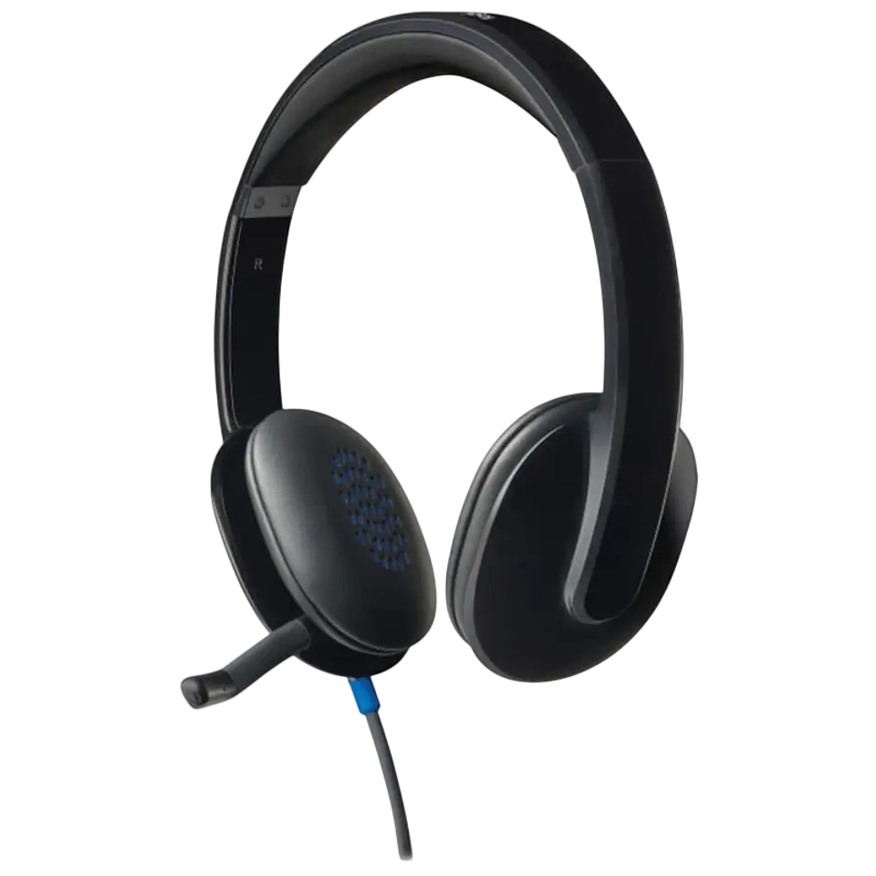 Logitech H540 Negro 1