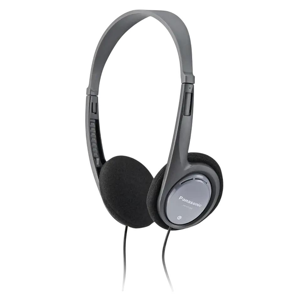 Panasonic RP-HT 090 Gris 1