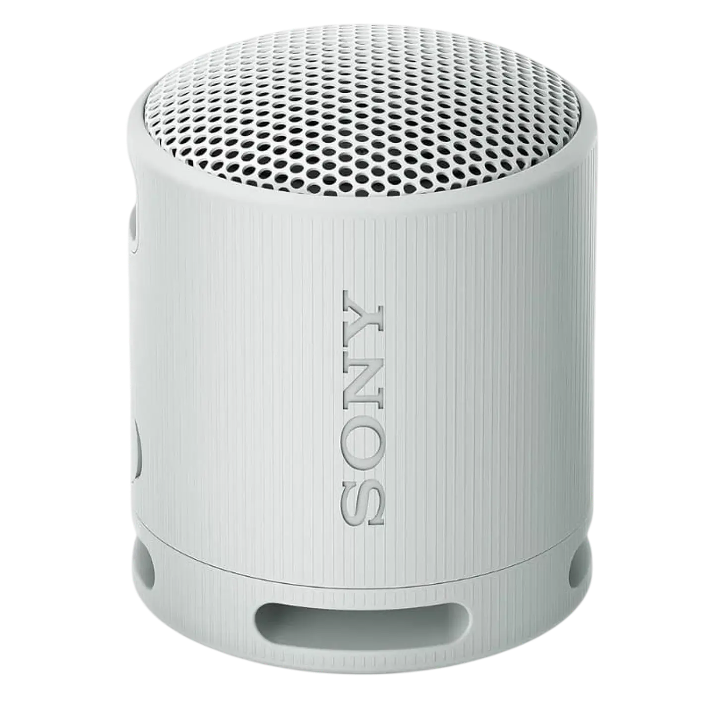 Sony SRS-XB100 Gris 1