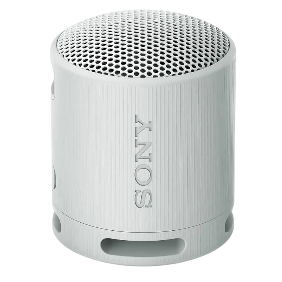 Sony SRS-XB100 Gris 1