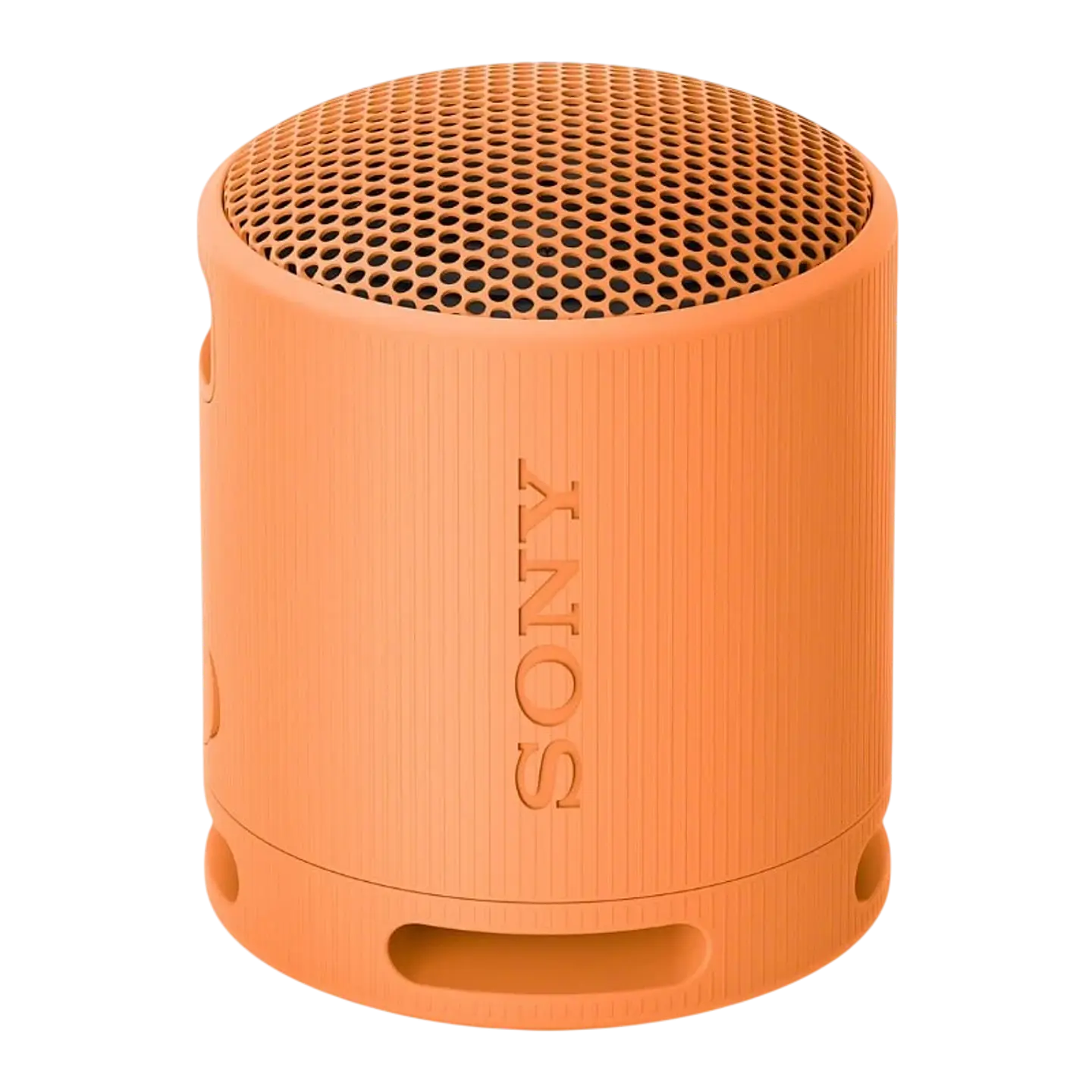 Sony SRS-XB100 Naranja 1