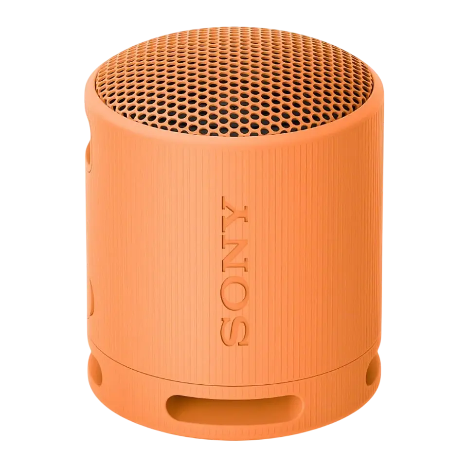Sony SRS-XB100 Naranja 1