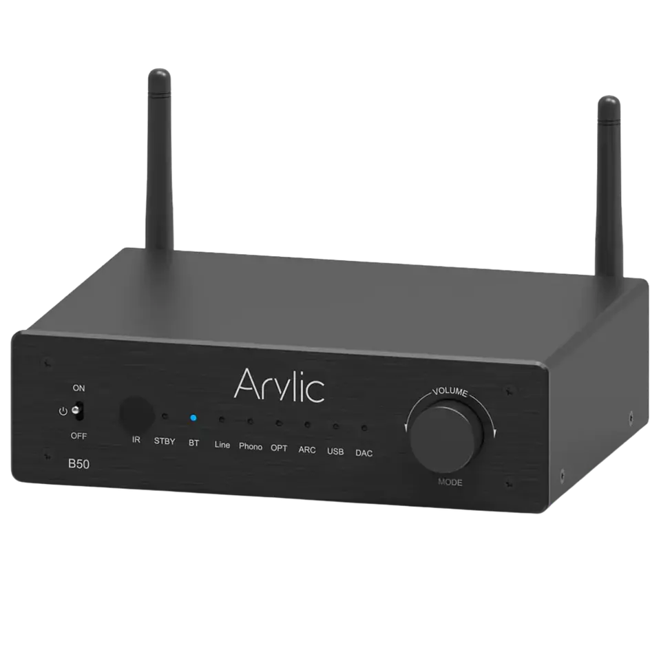 Arylic B50 Black 1