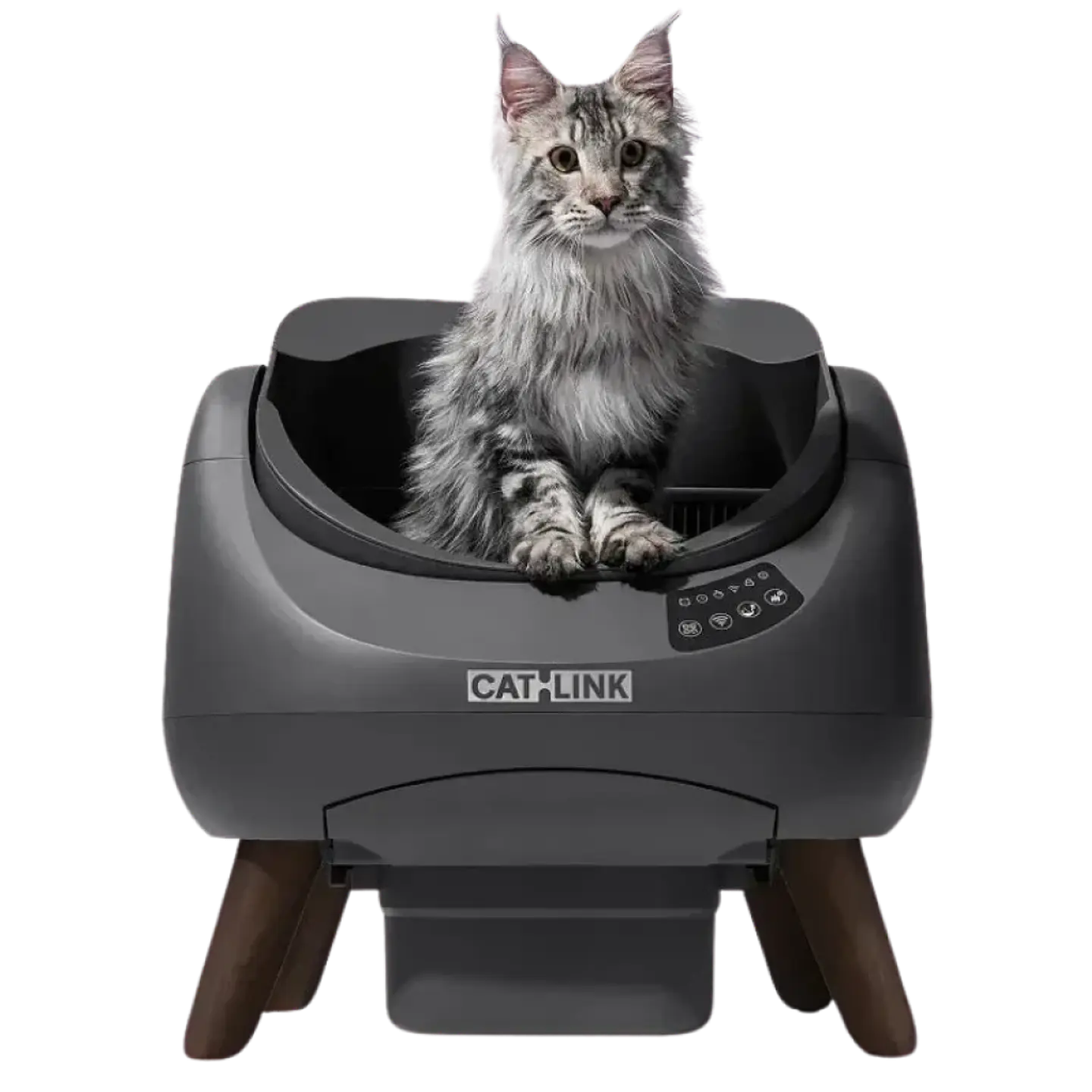 CATLINK Open-X Gris 1