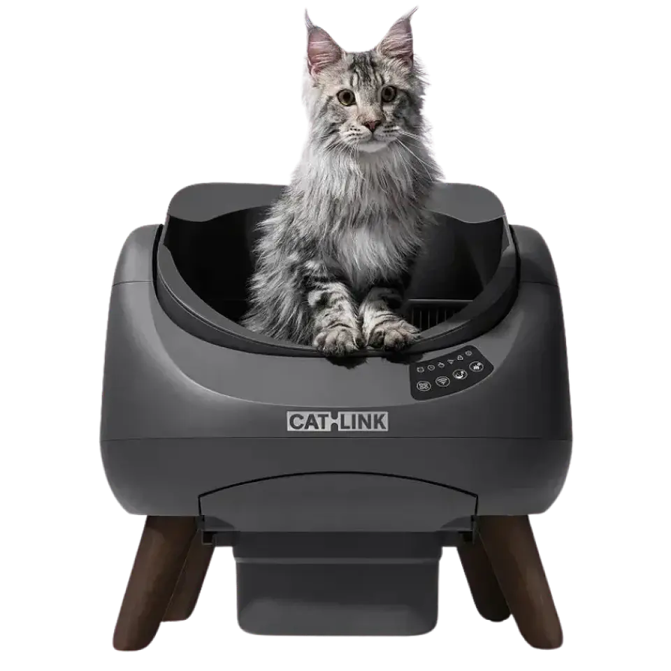 CATLINK Open-X Gris 1