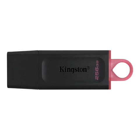 Kingston DataTraveler Exodia USB 256GB (3.2 Gen 1)