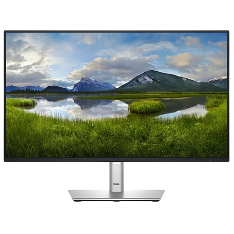 Dell P Series P2425HE 24 FullHD IPS 100Hz Negro