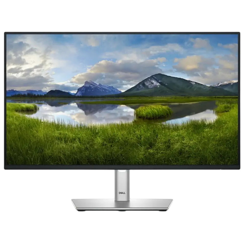 Dell P Series P2425HE 24 FullHD IPS 100Hz Negro 1