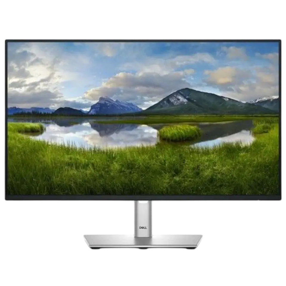 DELL P Series P2425H 24 Full HD LCD IPS 100 Hz Negro 1
