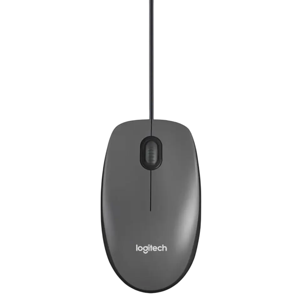Logitech M100 USB Negro - 1000 DPI 1