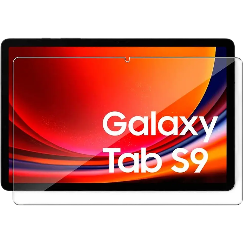 Protector de cristal templado Samsung Galaxy Tab S9 / S9 FE 1