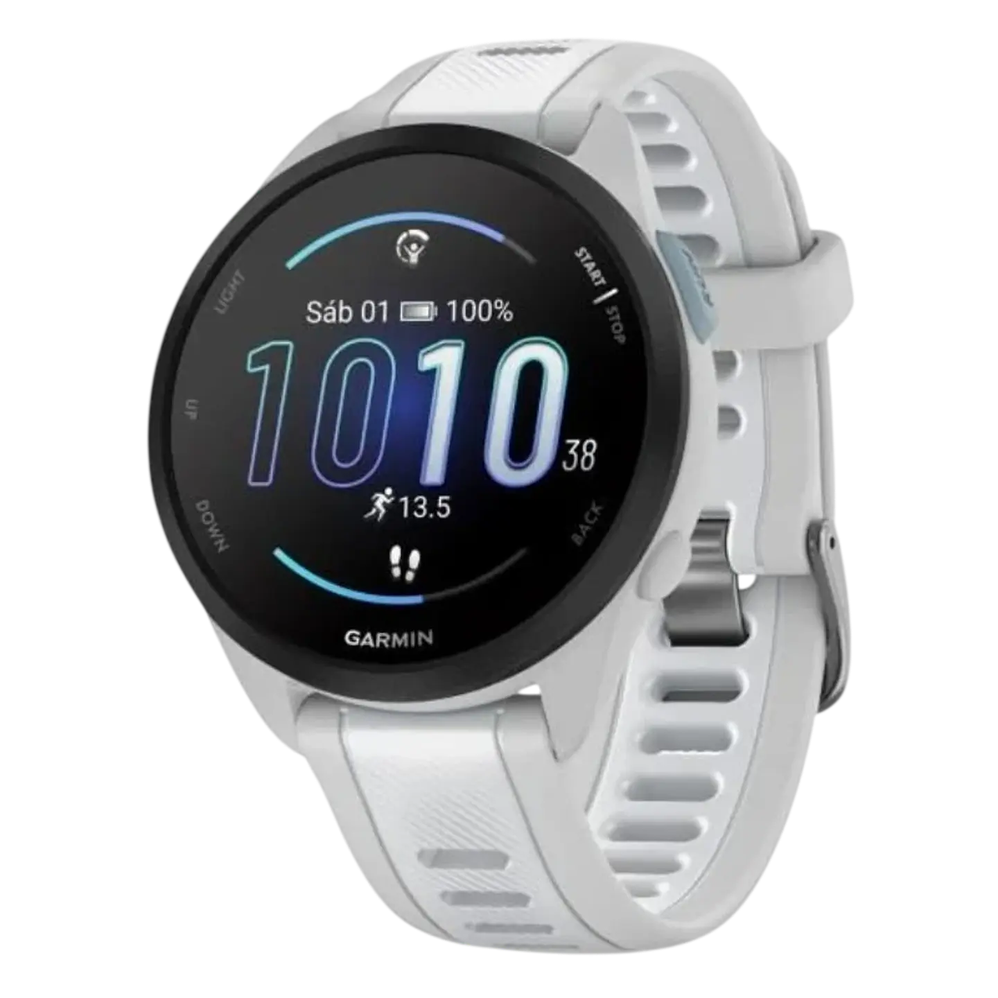 Garmin Forerunner 165 Music Gris 1