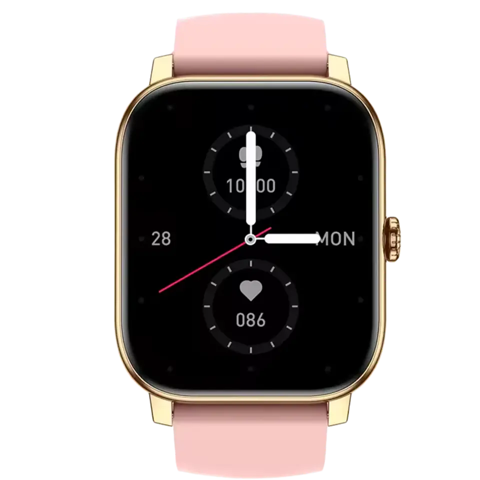 Btalk Pro Gold 1