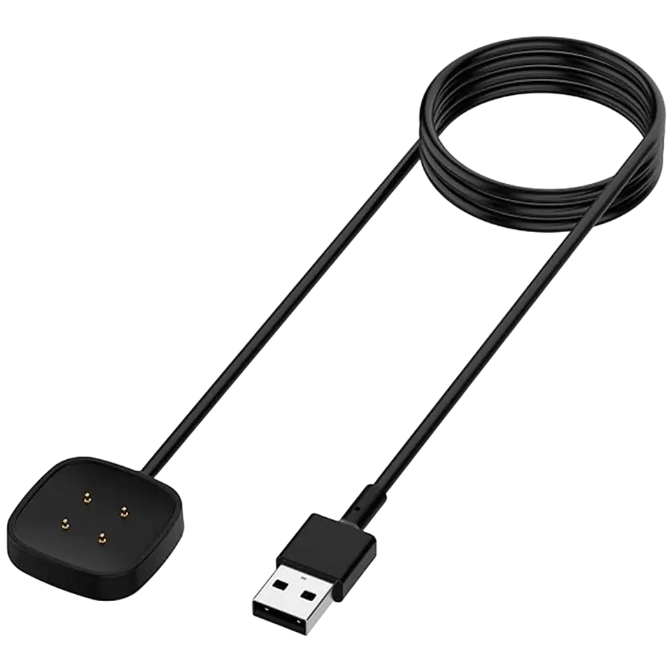 Cargador Fitbit Versa 3 / Versa 4 Negro 1