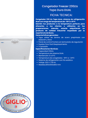 Congelador Freezer 230Lts Tapa Dura DUAL