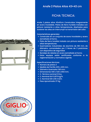 Anafe 2 Platos Altos 43 × 43 cm