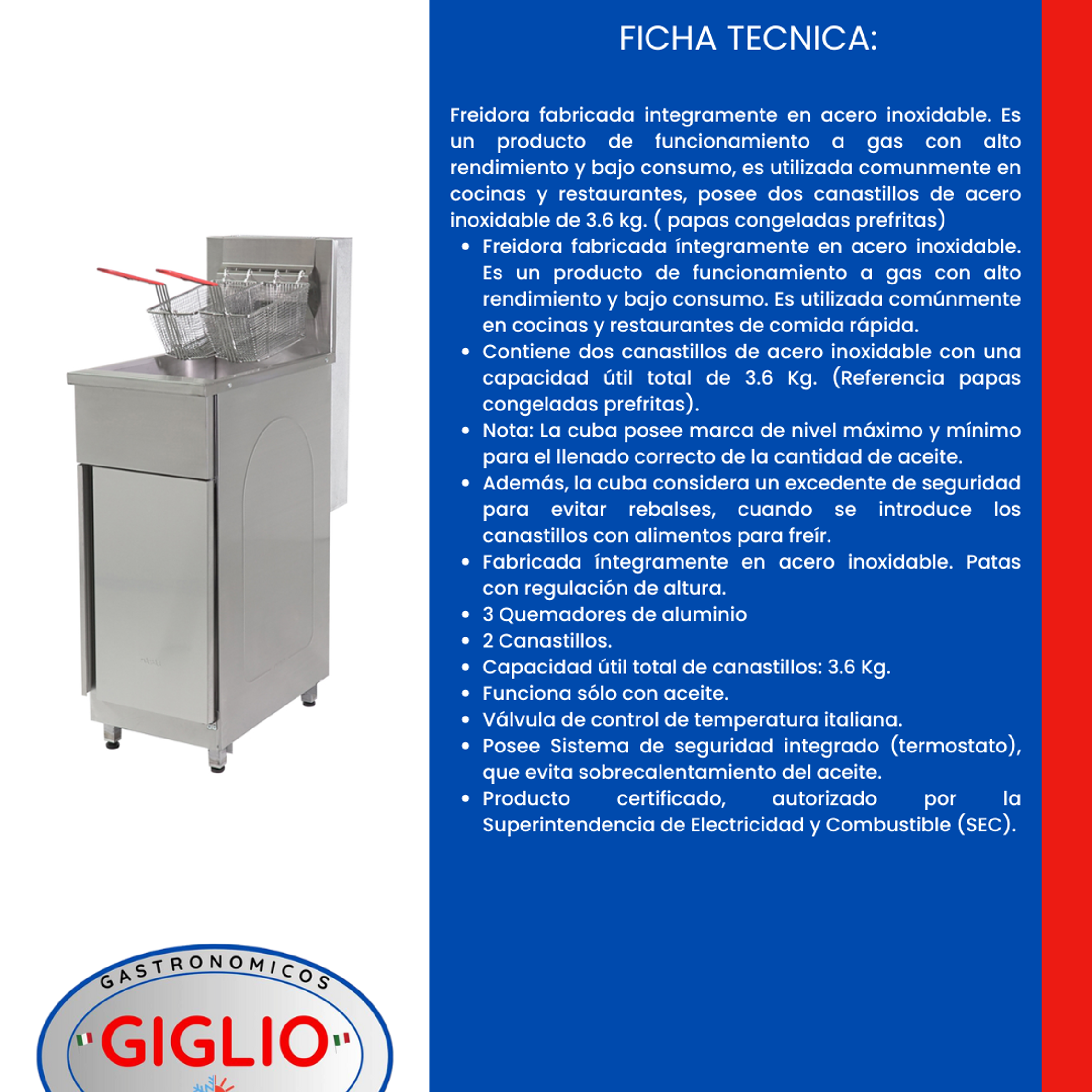 Freidora de Alta Produccion F-18 Lts 2