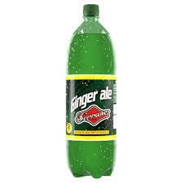 BEBIDA GINGER  SERRANO 2lts. (DP.x 6u) (P 80)     
