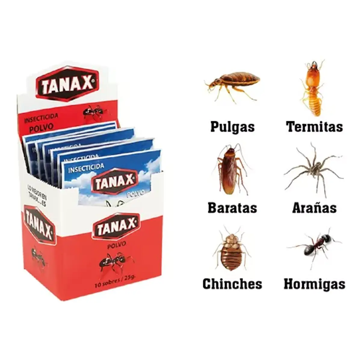 INSECTICIDA TANAX POLVO DISPLAY 25grs.x 10un. (5) | GINO