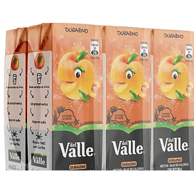 NECTAR ANDINA DURAZNO 200ml.x 6    (4)