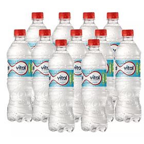AGUA MINERAL VITAL S/GAS 600ml. x 12   (144)
