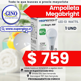 AMPOLLETA LED MEGABRIGHT 13W   (64)               